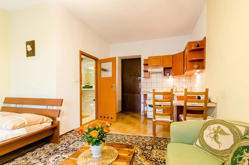 Central Krak Apartments - Studios 크라쿠프
